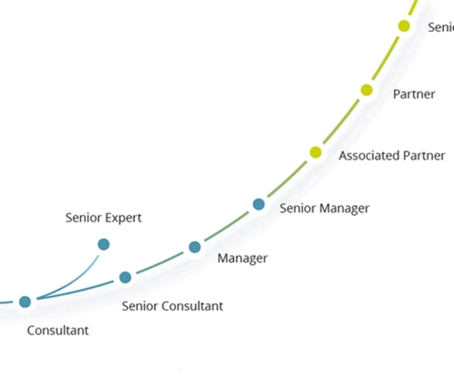 mesakumo Karrierestufen Beratung
