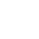 Budgetbeschränkungen und Priorisierung von Investitionen