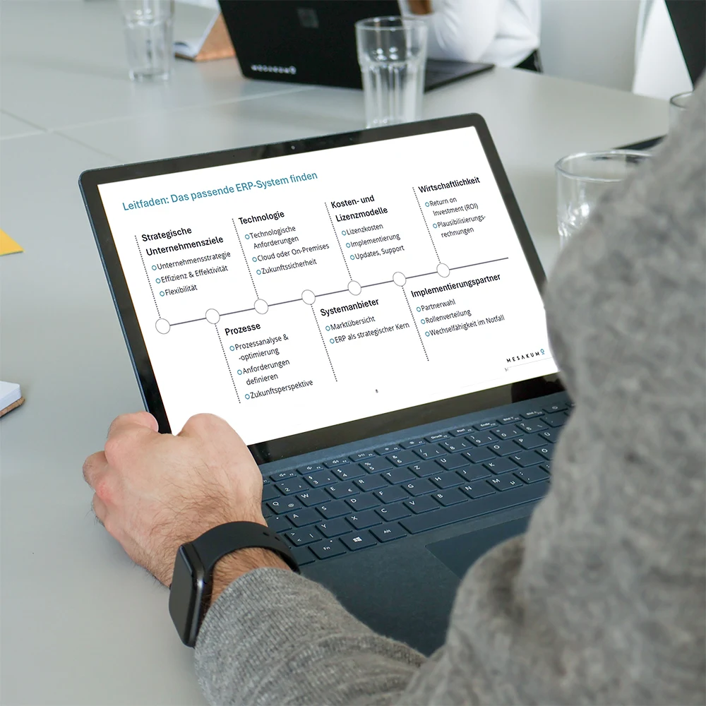ERP-Leitfaden