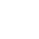 Leadership-Kompetenz