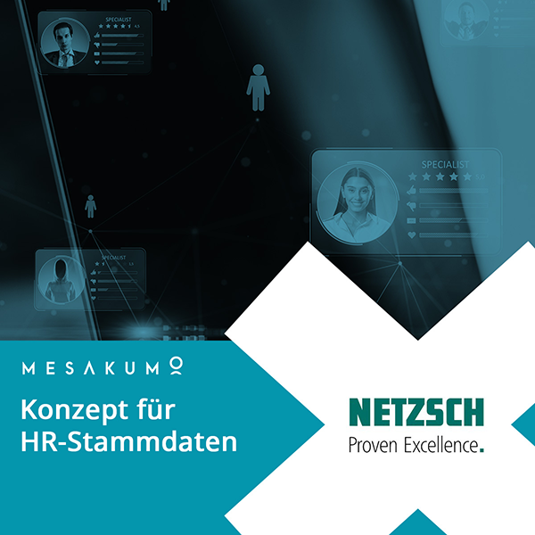 NETZSCH Konzept für HR-Stammdaten