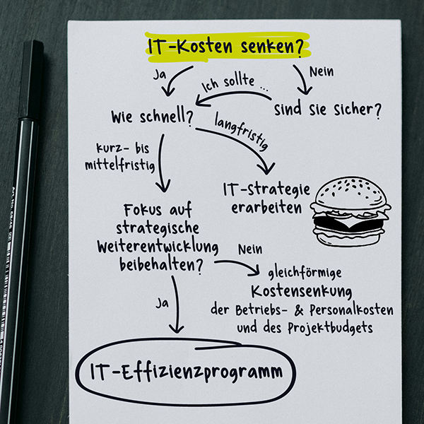 IT-Kosten